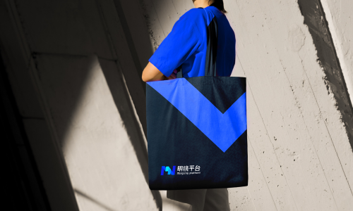 Platform tote visual identity application